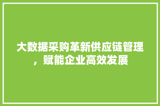 大数据采购革新供应链管理，赋能企业高效发展  第1张