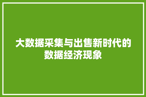 大数据采集与出售新时代的数据经济现象  第1张