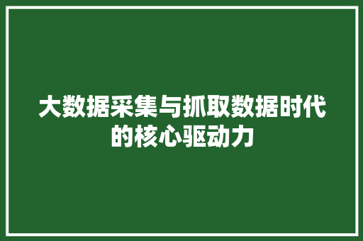 大数据采集与抓取数据时代的核心驱动力  第1张