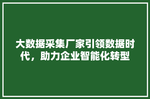 大数据采集厂家引领数据时代，助力企业智能化转型