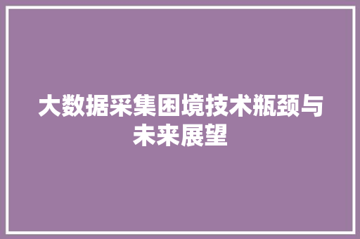 大数据采集困境技术瓶颈与未来展望  第1张