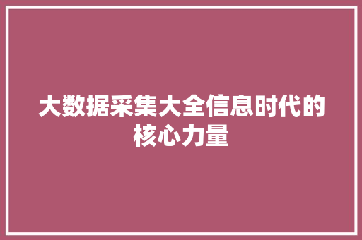 大数据采集大全信息时代的核心力量