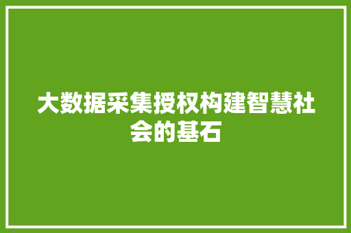 大数据采集授权构建智慧社会的基石