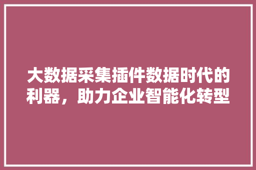 大数据采集插件数据时代的利器，助力企业智能化转型