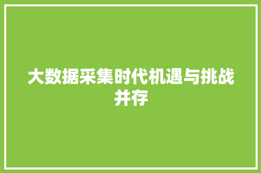 大数据采集时代机遇与挑战并存