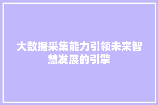大数据采集能力引领未来智慧发展的引擎  第1张