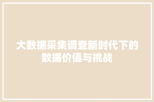 大数据采集调查新时代下的数据价值与挑战