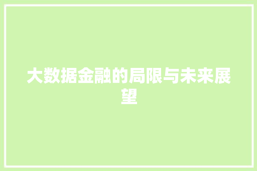 大数据金融的局限与未来展望