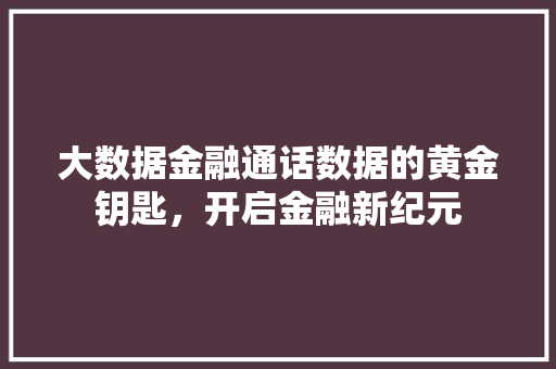 大数据金融通话数据的黄金钥匙，开启金融新纪元