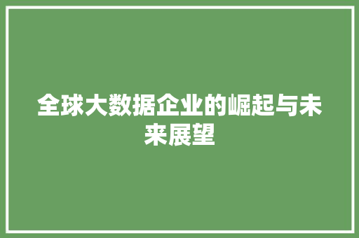 全球大数据企业的崛起与未来展望  第1张