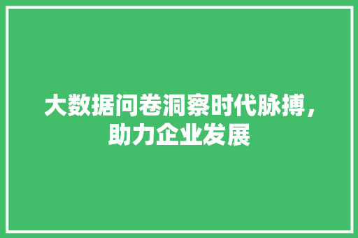 大数据问卷洞察时代脉搏，助力企业发展