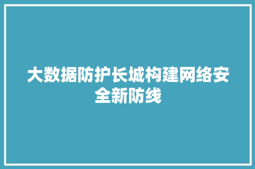 大数据防护长城构建网络安全新防线