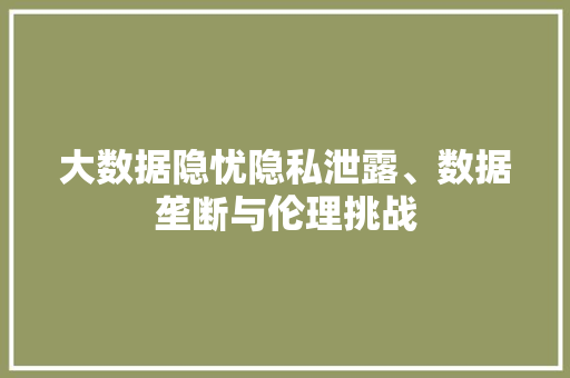 大数据隐忧隐私泄露、数据垄断与伦理挑战
