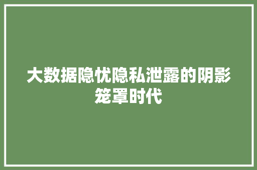 大数据隐忧隐私泄露的阴影笼罩时代