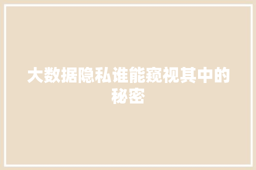 大数据隐私谁能窥视其中的秘密