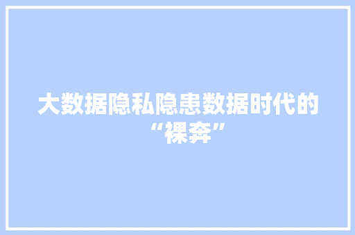 大数据隐私隐患数据时代的“裸奔”