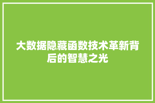 大数据隐藏函数技术革新背后的智慧之光