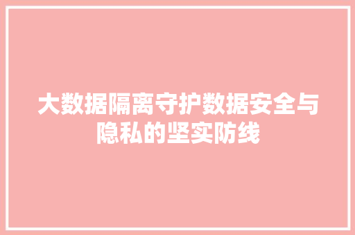大数据隔离守护数据安全与隐私的坚实防线