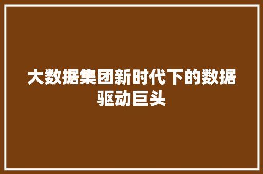 大数据集团新时代下的数据驱动巨头