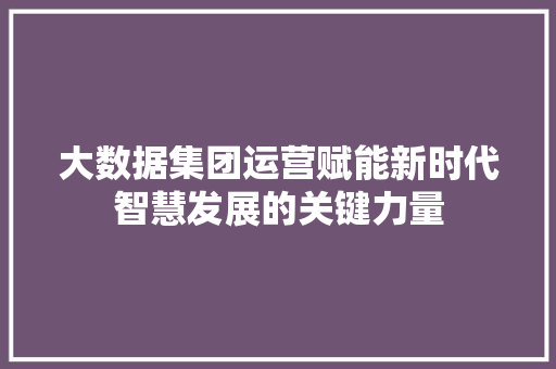 大数据集团运营赋能新时代智慧发展的关键力量