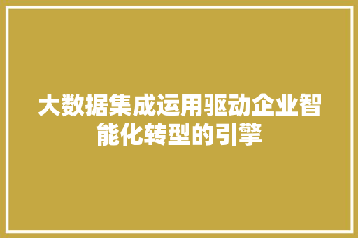大数据集成运用驱动企业智能化转型的引擎