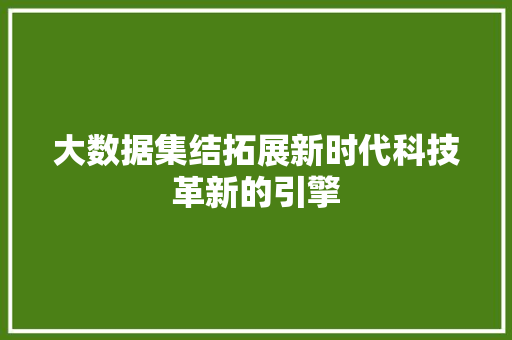 大数据集结拓展新时代科技革新的引擎  第1张