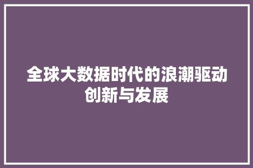 全球大数据时代的浪潮驱动创新与发展  第1张