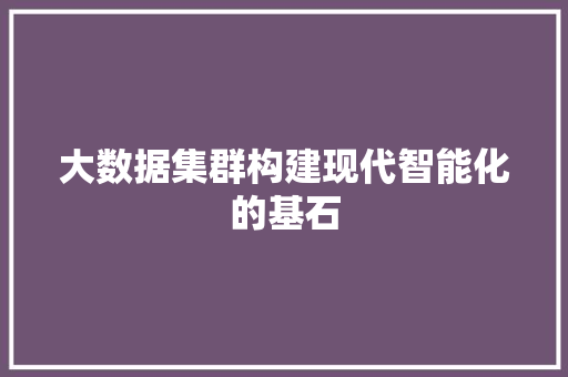 大数据集群构建现代智能化的基石