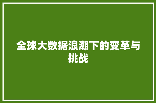 全球大数据浪潮下的变革与挑战  第1张