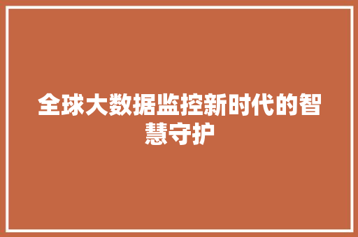 全球大数据监控新时代的智慧守护