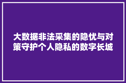 大数据非法采集的隐忧与对策守护个人隐私的数字长城