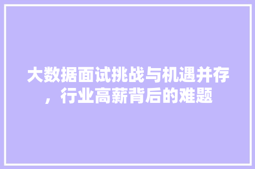大数据面试挑战与机遇并存，行业高薪背后的难题  第1张