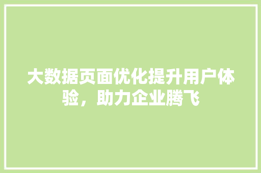 大数据页面优化提升用户体验，助力企业腾飞