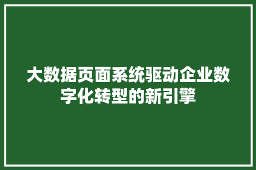 大数据页面系统驱动企业数字化转型的新引擎