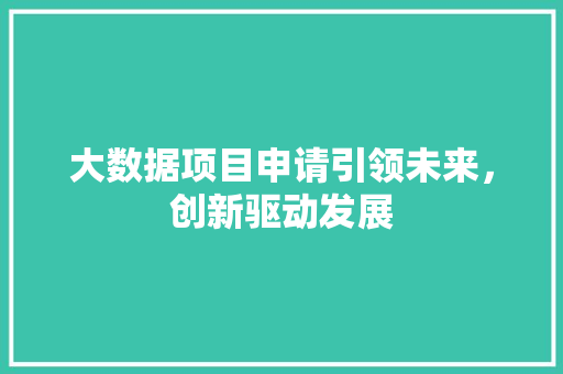 大数据项目申请引领未来，创新驱动发展