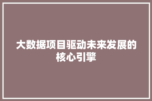 大数据项目驱动未来发展的核心引擎  第1张