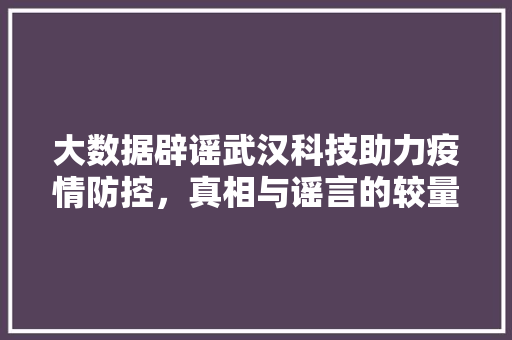 大数据辟谣武汉科技助力疫情防控，真相与谣言的较量  第1张