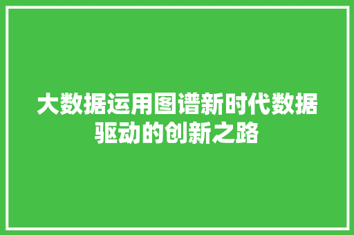 大数据运用图谱新时代数据驱动的创新之路