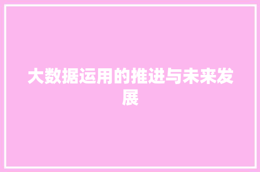 大数据运用的推进与未来发展  第1张