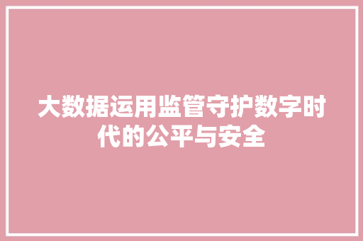 大数据运用监管守护数字时代的公平与安全  第1张