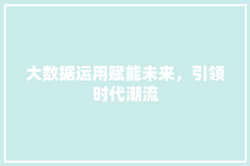 大数据运用赋能未来，引领时代潮流