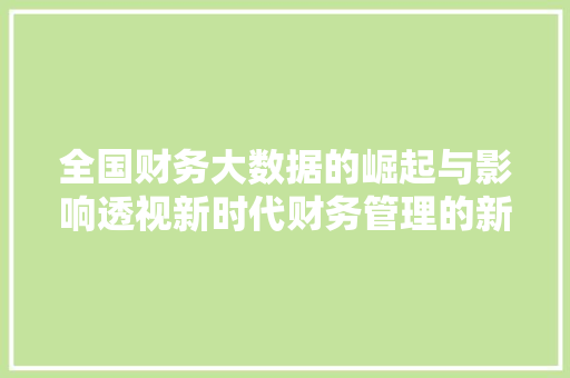 全国财务大数据的崛起与影响透视新时代财务管理的新篇章