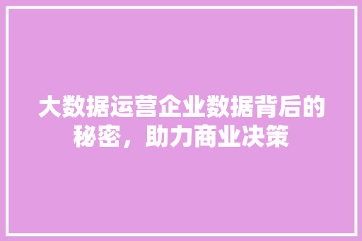 大数据运营企业数据背后的秘密，助力商业决策  第1张