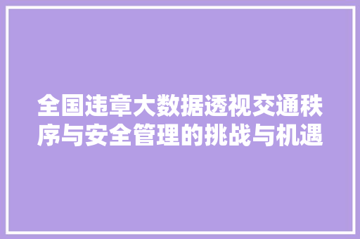 全国违章大数据透视交通秩序与安全管理的挑战与机遇  第1张