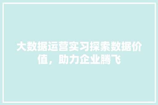 大数据运营实习探索数据价值，助力企业腾飞