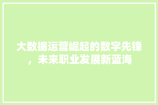 大数据运营崛起的数字先锋，未来职业发展新蓝海  第1张