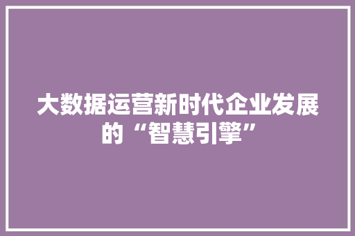 大数据运营新时代企业发展的“智慧引擎”