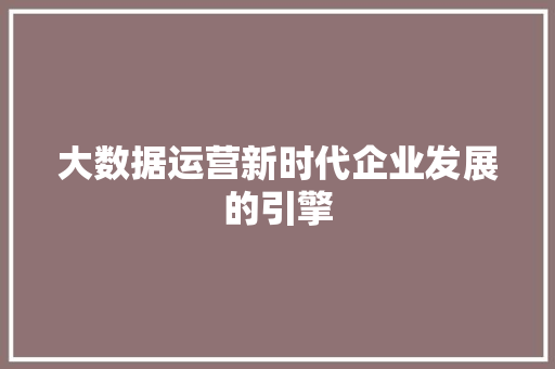 大数据运营新时代企业发展的引擎  第1张