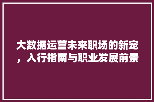 大数据运营未来职场的新宠，入行指南与职业发展前景
