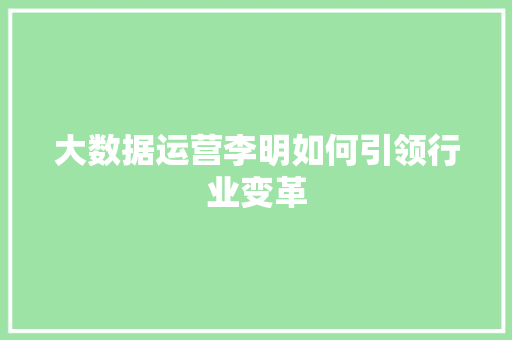 大数据运营李明如何引领行业变革